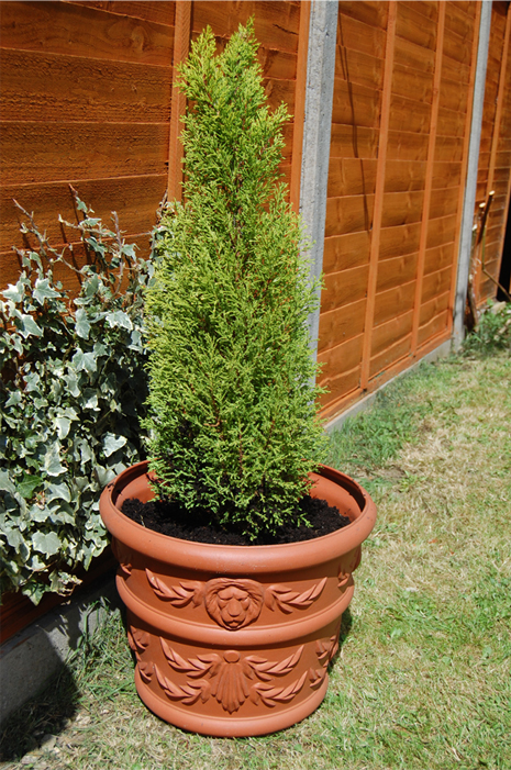 Terracotta Round Garden Planter 